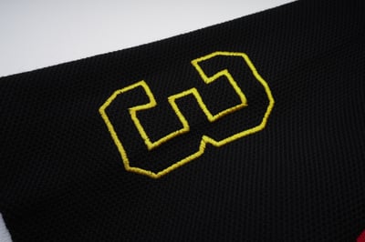 SNY05376.jpg